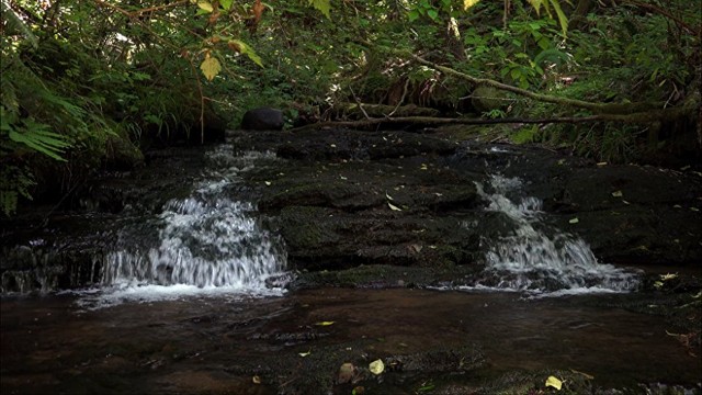 Watch Small Forest Creek [Dark Screen 10 Hours] Relaxing Ambient Nature Sounds for Meditation, Studying, or Ultra Dark Sleep Aid Online