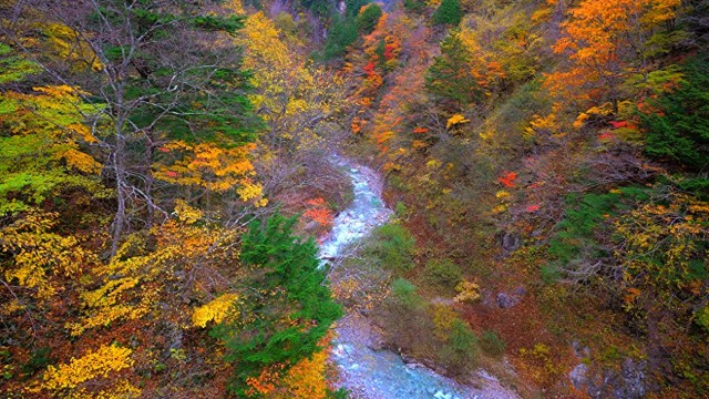 Watch Healing Sounds of Nature Autumn River Valley Sleep Sounds and Video Calming Nature Healing Mind Online