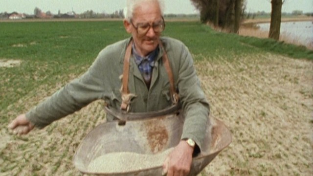 Watch It's Been a Lovely Day Online