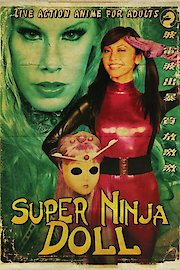 Super Ninja Bikini Babes poster