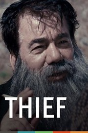 Thief poster