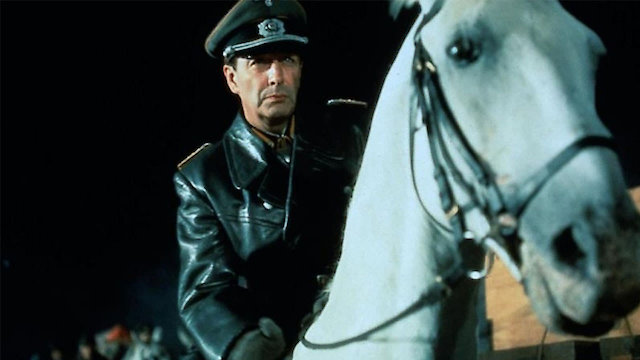 Watch Miracle of the White Stallions Online