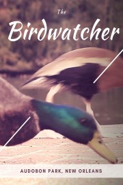 The Bird Watcher: Audubon Park (The Ultimate Birds Video For Cats Collection)
