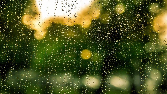 Watch Peaceful Rain for Meditation and Relaxation 6 Hours Online