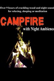 Campfire with night ambience poster