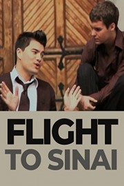 Flight of Sinai poster