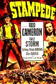 Stampede poster