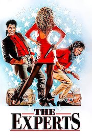 The Experts poster