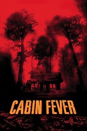 Fever poster