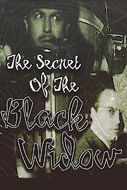 The Secret of the Black Widow poster