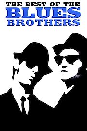 The Best of the Blues Brothers poster