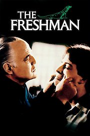 The Freshman poster