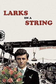 Larks on a String poster