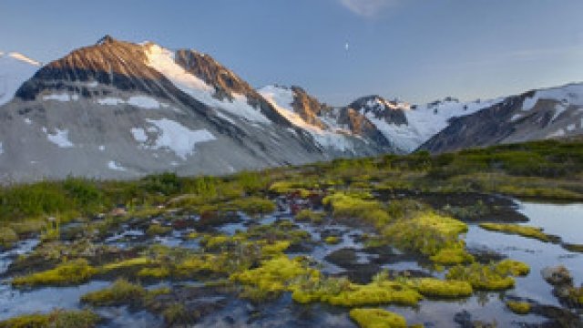 Watch Legacy: A Mormon Journey Online