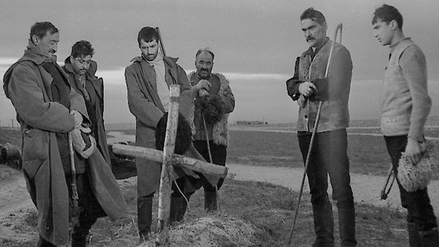 Watch The White Caravan Online