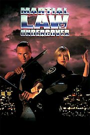 Martial Law 2: Undercover poster