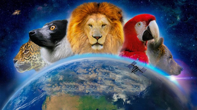 Watch Wonderful World Online