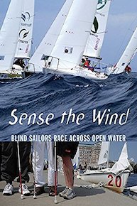 Sense The Wind
