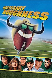 Necessary Roughness
