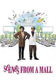 Scenes from a Mall poster