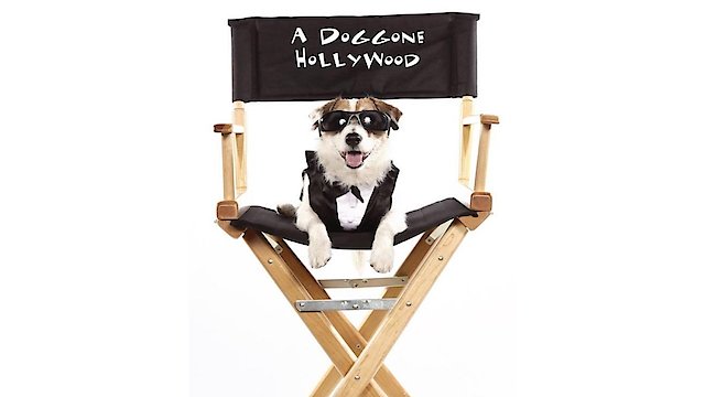 Watch A Doggone Hollywood Online