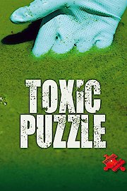 Toxic Puzzle poster