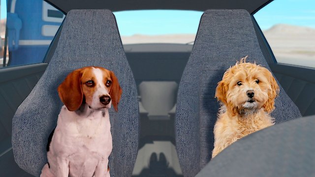 Watch Fast and Furriest Online