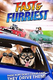 Fast and Furriest