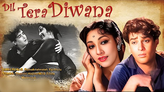 Watch Dil Tera Deewana Online