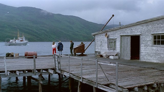 Watch A Year Along the Abandoned Road Online