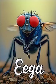 Eega poster