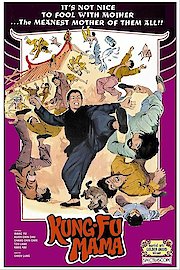 Kung Fu Mama poster