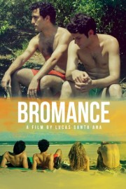 Bromance poster