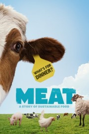 Meat poster