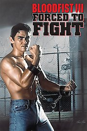 Bloodfist III: Forced to Fight poster