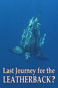 Last Journey for the Leatherback?