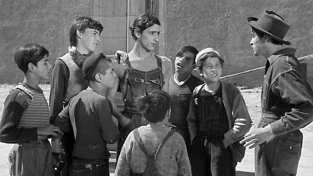 Watch The Young And The Damned Online