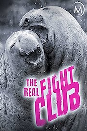 The Real Fight Club poster