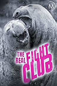 The Real Fight Club