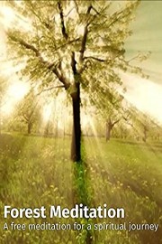 Forest Meditation - A free meditation for a spiritual journey