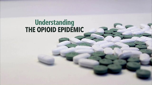 Watch Understanding the Opioid Epidemic Online