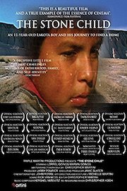 The Stone Child poster