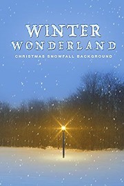 Winter Wonderland: Christmas Snowfall Background