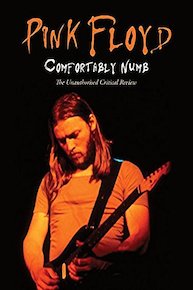 Pink Floyd - Comfortably Numb