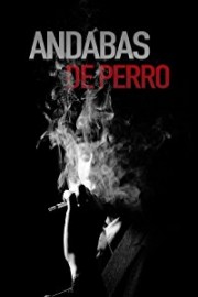 Andabas De Perro poster