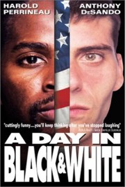 A Day In Black And White poster