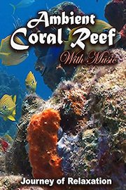 Ambient Coral Reef - Journey of Relaxation poster