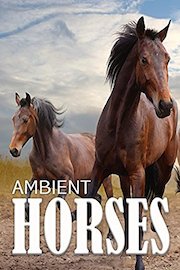 Ambient Horses poster