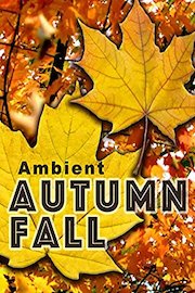 Ambient Autumn Fall poster