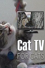 Cat TV - For Cats poster